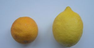 I used two varieties of lemons. The homegrown lemons on the left with the smaller rounder shape and darker orangier skin. The ones on the right I bought. 